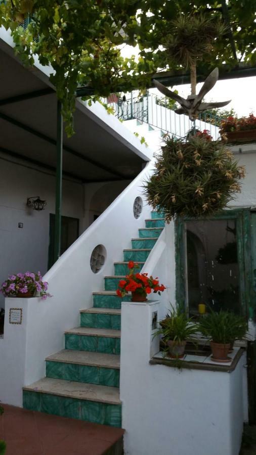 Apartament Il Gelso Anacapri  Zewnętrze zdjęcie