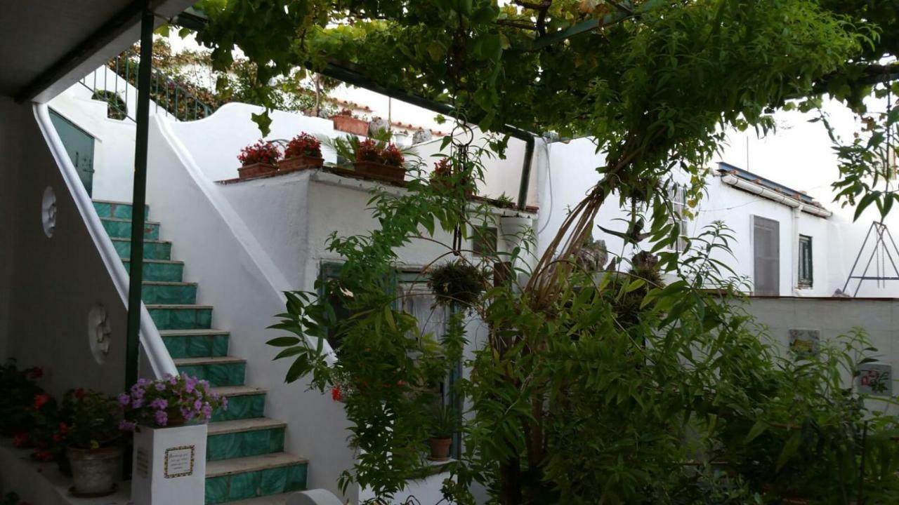 Apartament Il Gelso Anacapri  Zewnętrze zdjęcie