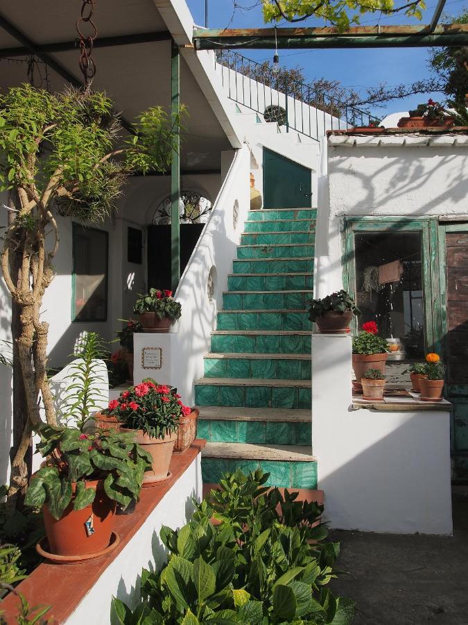 Apartament Il Gelso Anacapri  Zewnętrze zdjęcie