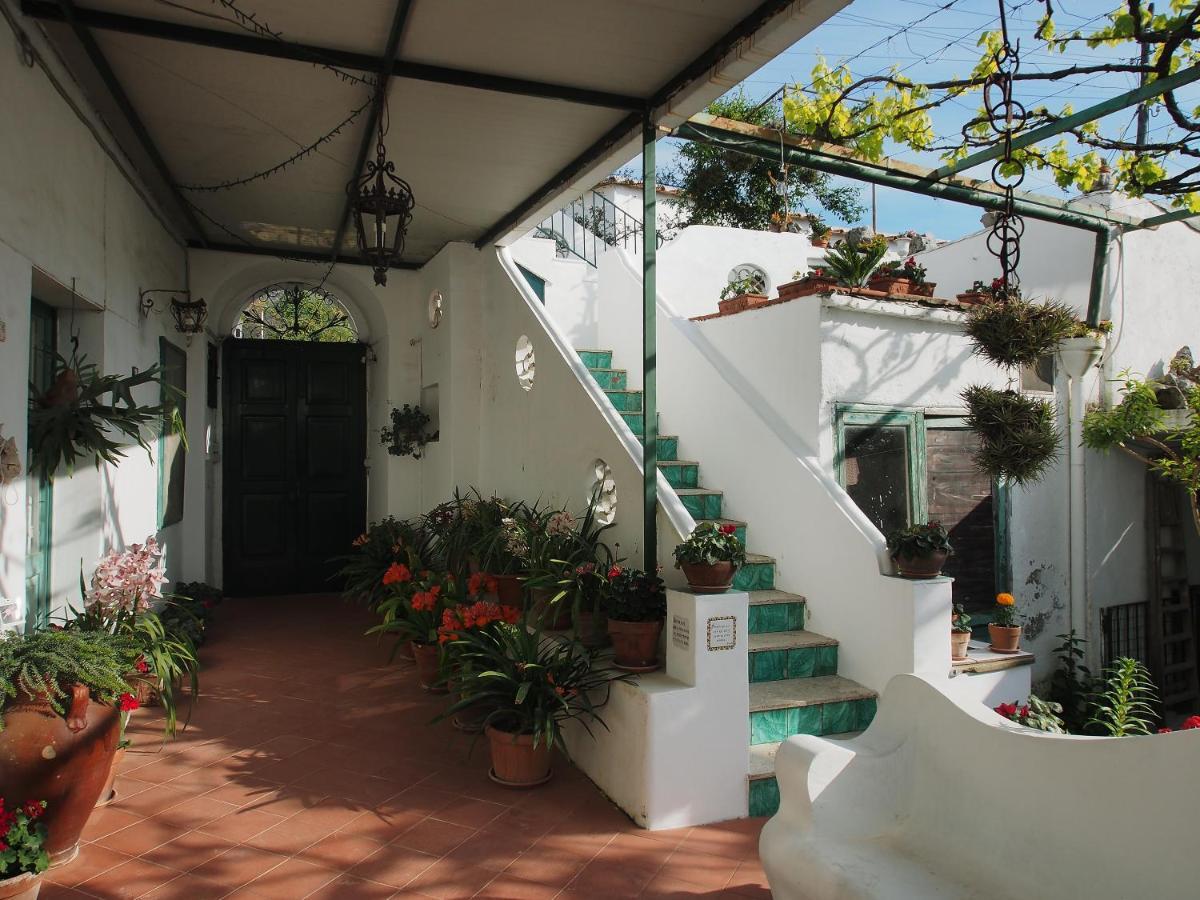 Apartament Il Gelso Anacapri  Zewnętrze zdjęcie